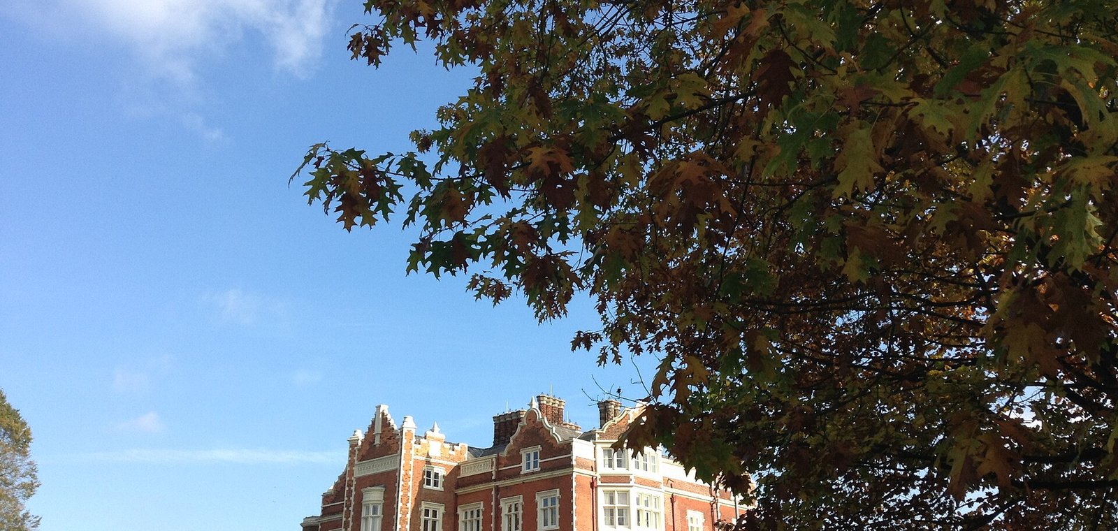 University of Essex